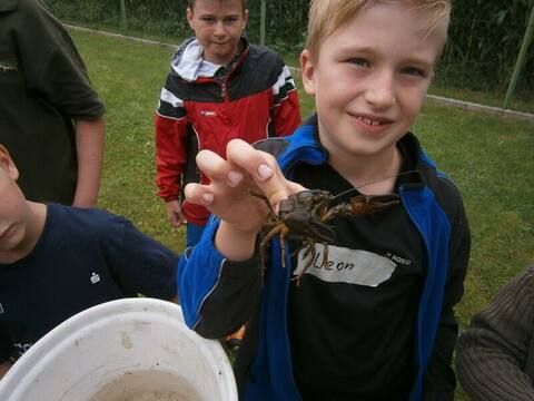 Ferienprogramm 2014: Kind zeigt einen Krebs aus dem Bach