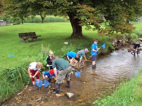 Ferienprogramm 2016: Kinder erkunden mit Keschern den Aubach